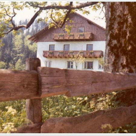 Ferienwohnung Haus Einhirn Altaussee Εξωτερικό φωτογραφία