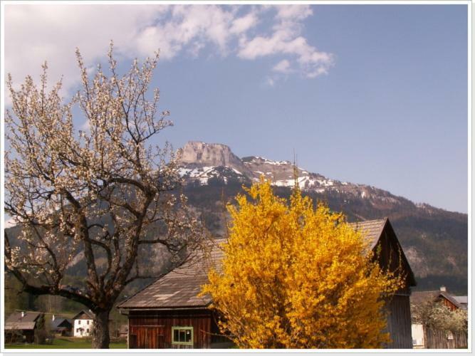 Ferienwohnung Haus Einhirn Altaussee Εξωτερικό φωτογραφία
