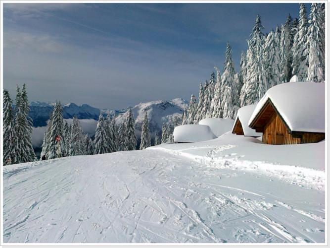 Ferienwohnung Haus Einhirn Altaussee Εξωτερικό φωτογραφία