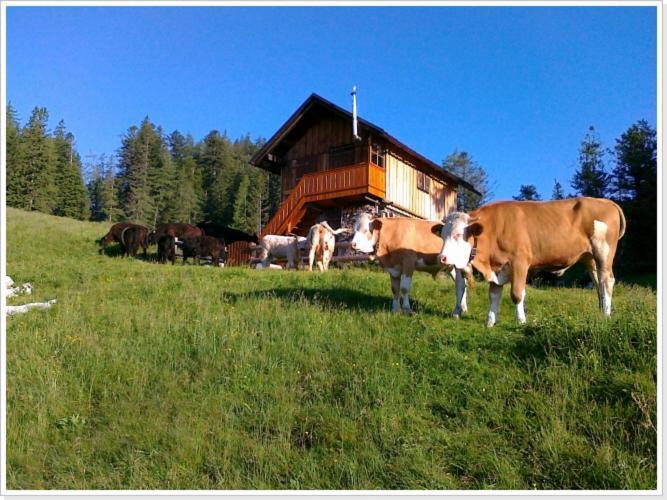 Ferienwohnung Haus Einhirn Altaussee Εξωτερικό φωτογραφία